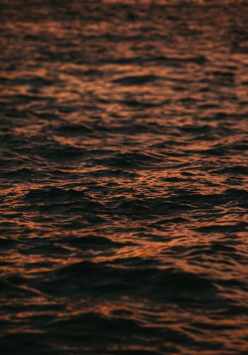 sea, sunset Wallpaper 1668x2388