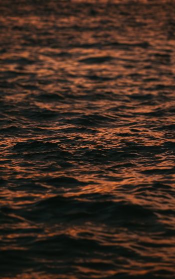 sea, sunset Wallpaper 1752x2800