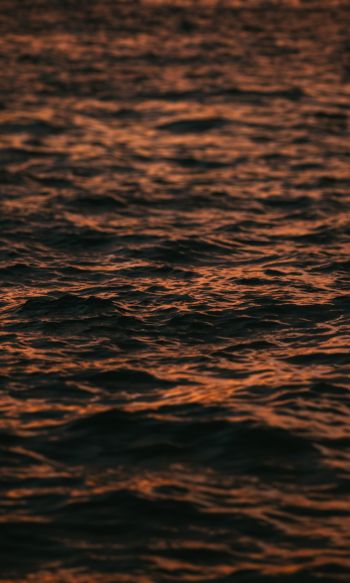 sea, sunset Wallpaper 1200x2000