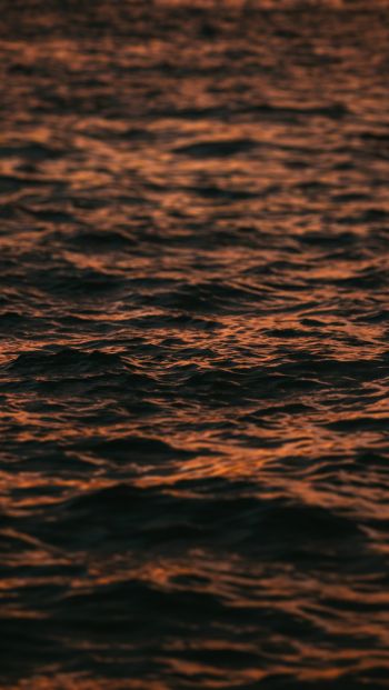 sea, sunset Wallpaper 640x1136