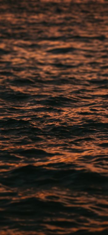 sea, sunset Wallpaper 1284x2778