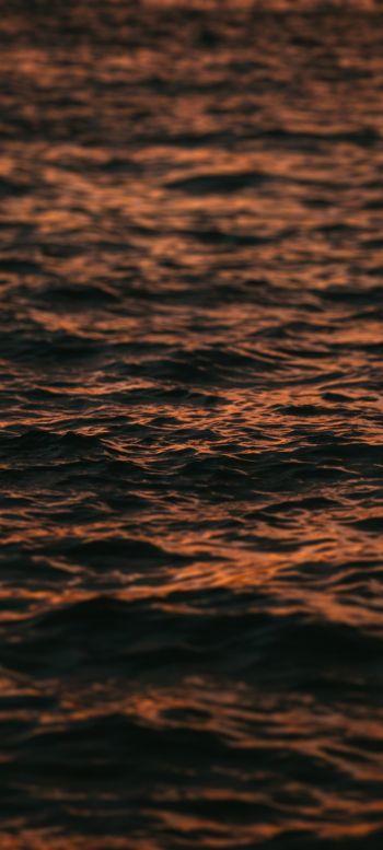 sea, sunset Wallpaper 1080x2400