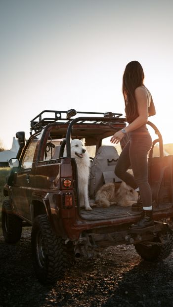 machine with dogs, girl Wallpaper 640x1136