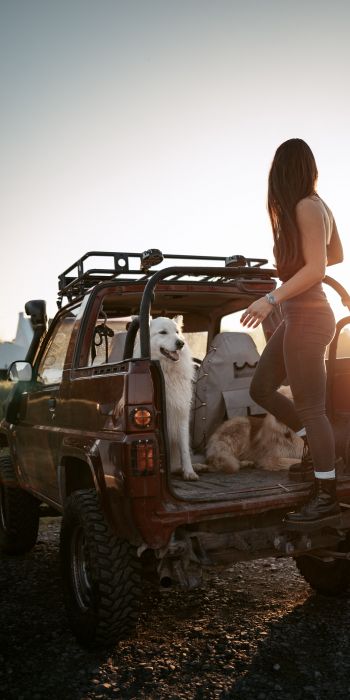 machine with dogs, girl Wallpaper 720x1440