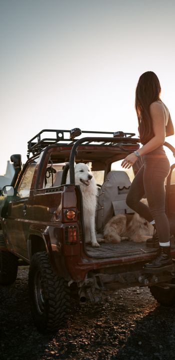 machine with dogs, girl Wallpaper 1080x2220
