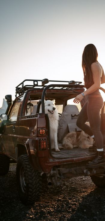machine with dogs, girl Wallpaper 720x1520