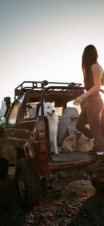 machine with dogs, girl Wallpaper 828x1792