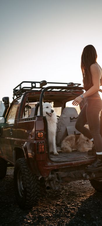 machine with dogs, girl Wallpaper 1440x3200
