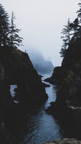 misty gorge Wallpaper 640x1136