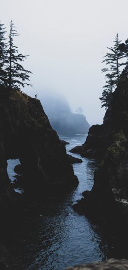 misty gorge Wallpaper 1080x2280