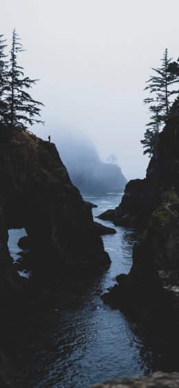 misty gorge Wallpaper 1080x2340