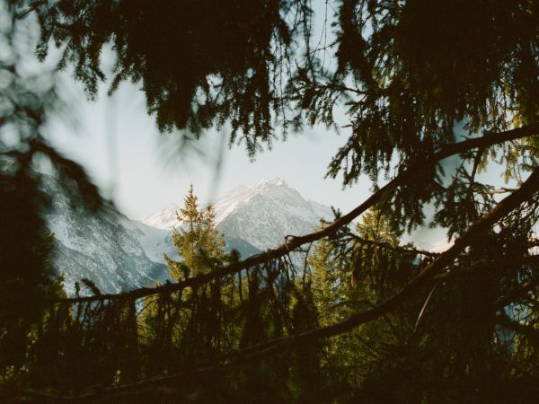 Arnisee, Gurtnellen, Switzerland Wallpaper 800x600