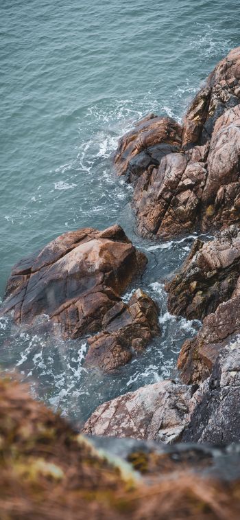 waves, rocks Wallpaper 828x1792