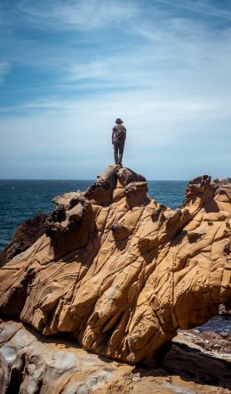 Salt Point, California, USA Wallpaper 600x1024