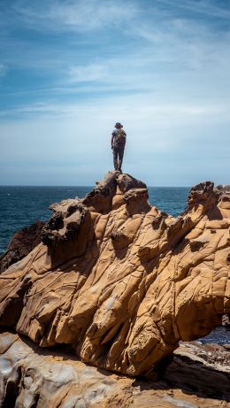 Salt Point, California, USA Wallpaper 640x1136