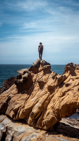 Salt Point, California, USA Wallpaper 720x1280