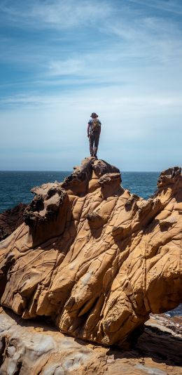 Salt Point, California, USA Wallpaper 1080x2220