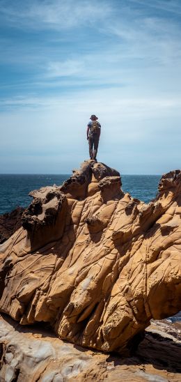 Salt Point, California, USA Wallpaper 1440x3040