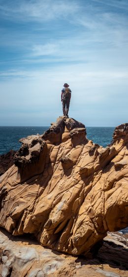 Salt Point, California, USA Wallpaper 828x1792