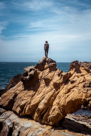 Salt Point, California, USA Wallpaper 640x960