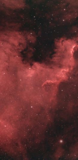 North America Nebula Wallpaper 1440x2960