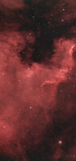 North America Nebula Wallpaper 1080x2280