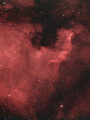 North America Nebula Wallpaper 1620x2160