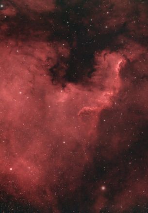North America Nebula Wallpaper 1640x2360