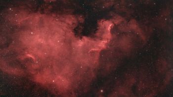 North America Nebula Wallpaper 1600x900