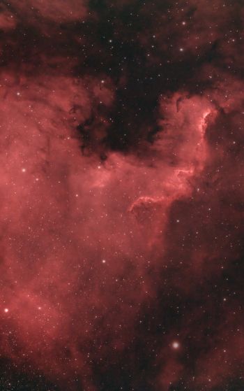 North America Nebula Wallpaper 1752x2800