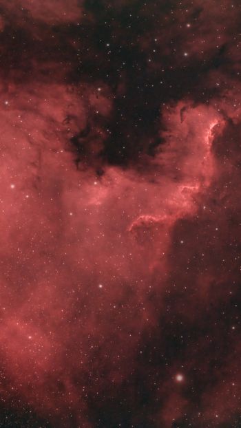 North America Nebula Wallpaper 2160x3840
