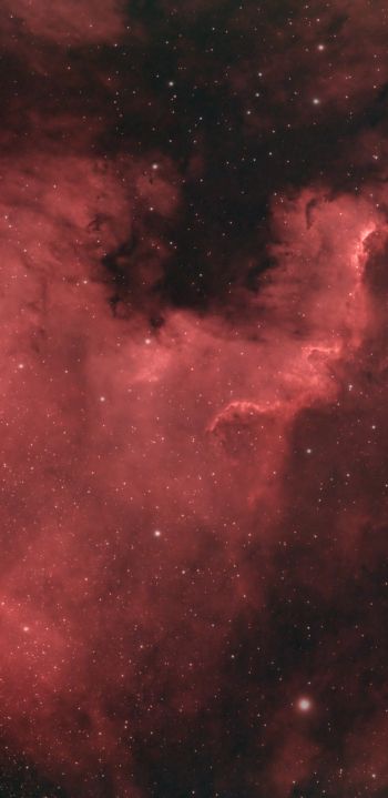 North America Nebula Wallpaper 1440x2960