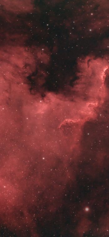 North America Nebula Wallpaper 1170x2532