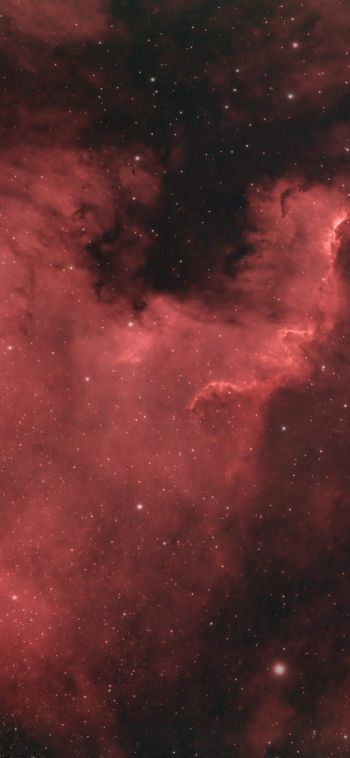 North America Nebula Wallpaper 1080x2340