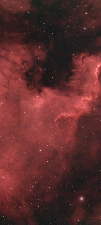 North America Nebula Wallpaper 1440x3200