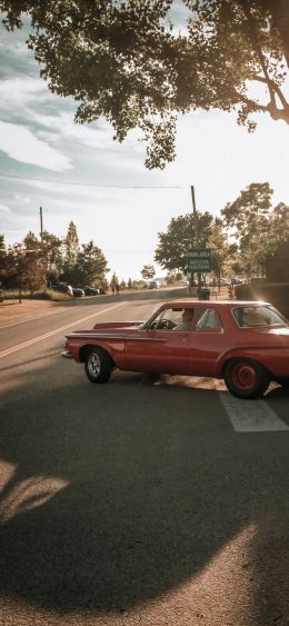 red car, city Wallpaper 1080x2340