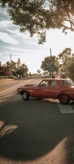 red car, city Wallpaper 720x1600