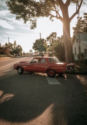 red car, city Wallpaper 1668x2388