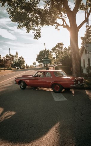 red car, city Wallpaper 800x1280