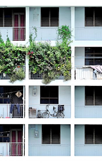 residential building balconies Wallpaper 800x1280