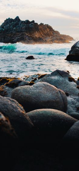 Monterey, California, USA Wallpaper 1080x2340