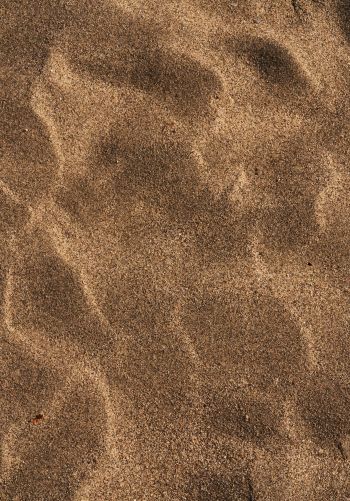 Обои 1668x2388 песок, песчаный пляж