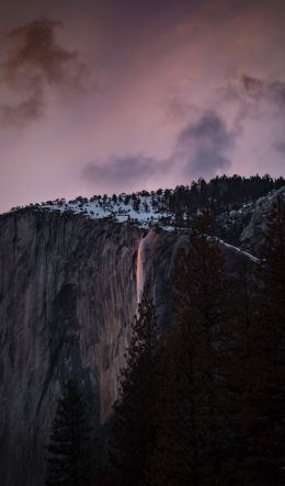 nature park, scale Wallpaper 600x1024