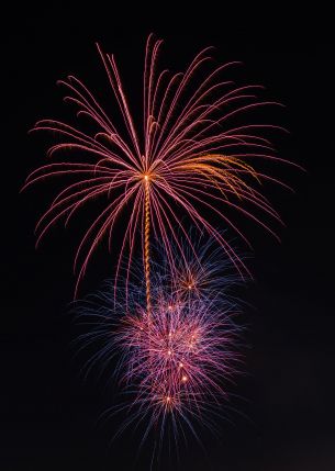 festival, fireworks Wallpaper 2840x4000