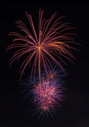 festival, fireworks Wallpaper 1668x2388