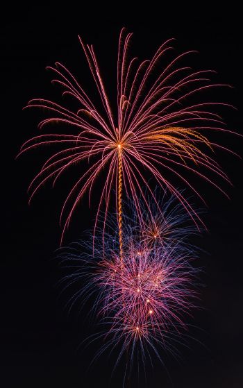 festival, fireworks Wallpaper 1752x2800