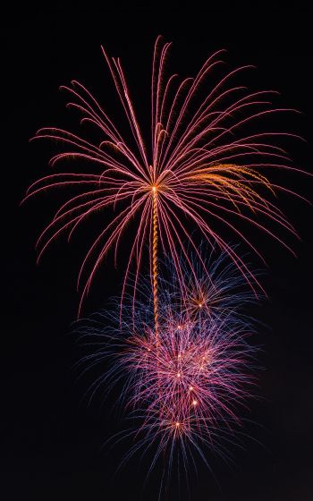 festival, fireworks Wallpaper 800x1280