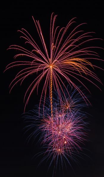 festival, fireworks Wallpaper 600x1024