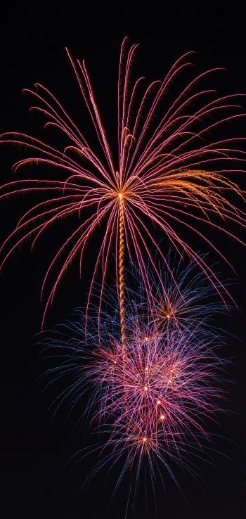 festival, fireworks Wallpaper 1080x2280
