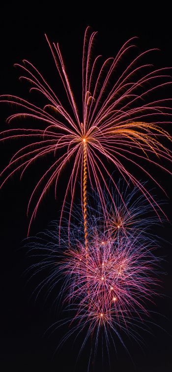 festival, fireworks Wallpaper 828x1792